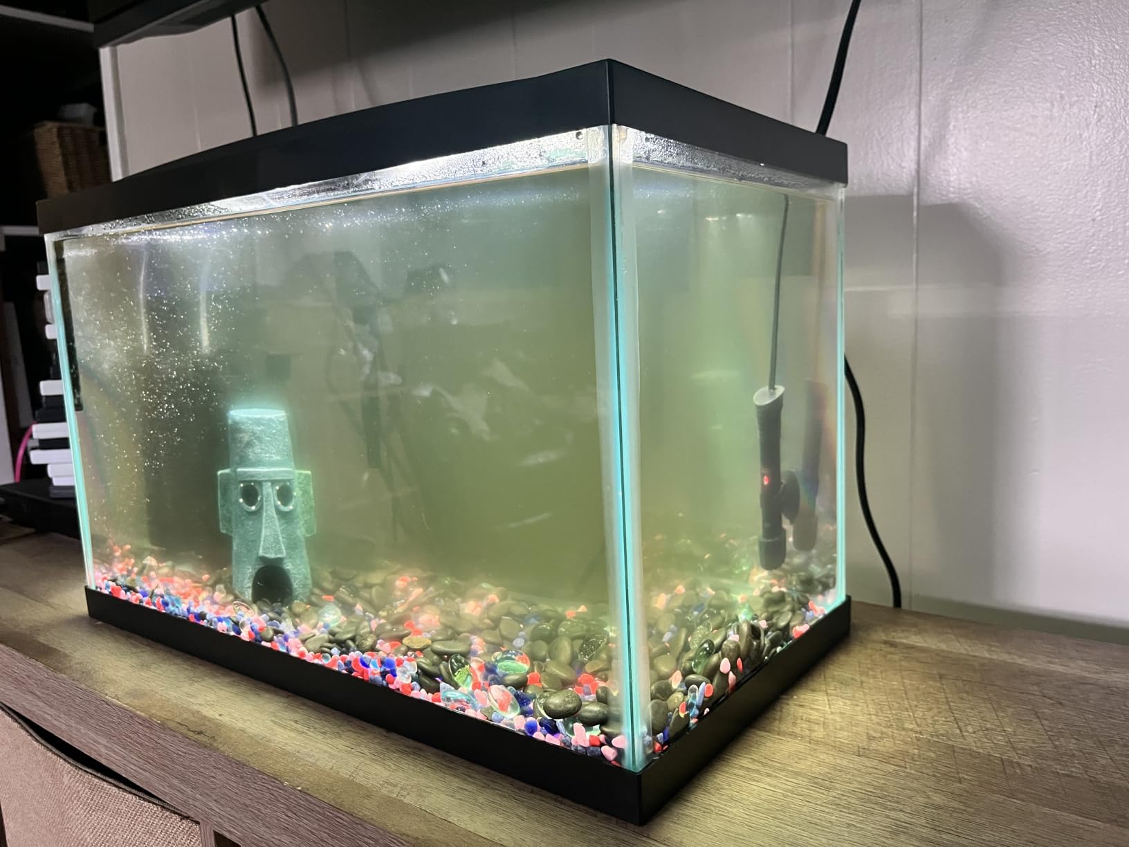 TARARIUM U-V Aquarium Filter for Fish Turtle Tank, Medium fit 20-75Gal | Bio Sponge+U-V Internal Filter, Clear Green Water, Green Killing, Aeration, Deodorize, Salt & Freshwater Crystal Clear, 211GPH customer photo 1