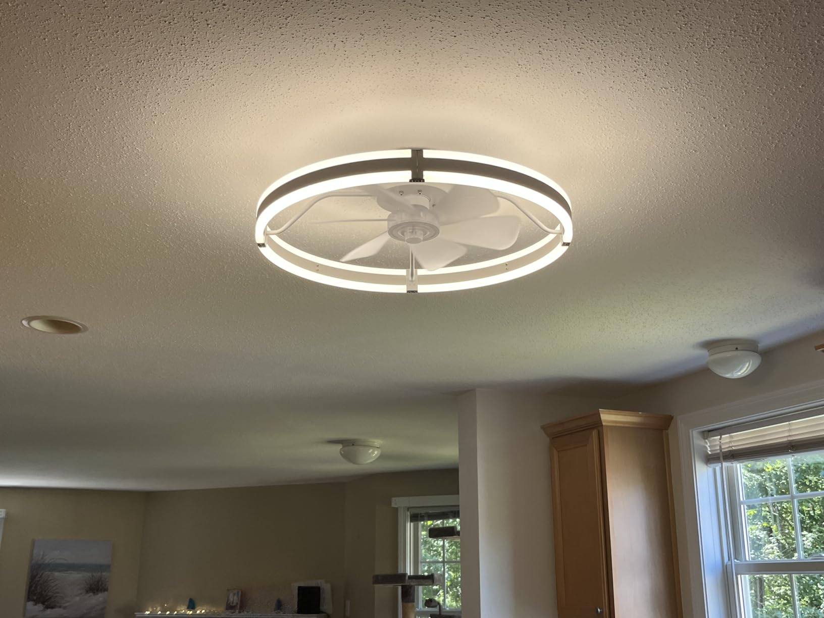 ZMISHIBO Ceiling Fans with Lights and Remote, 19.7'' Low Profile Ceiling Fan, 3000-6000K Dimmable Modern Flush Mount LED Fan Light, 6 Wind Speeds, Black Fandelier Ceiling Fans for Bedroom customer photo 1
