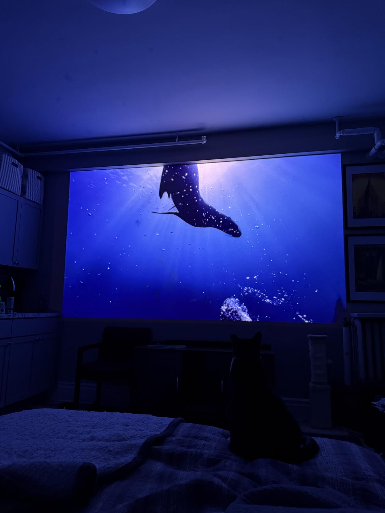 JMGO N1S Ultimate Triple Laser 4K Projector, 3300 ISO Lumens, Google TV | Real-Time Auto Screen Fit, HDR10, 300