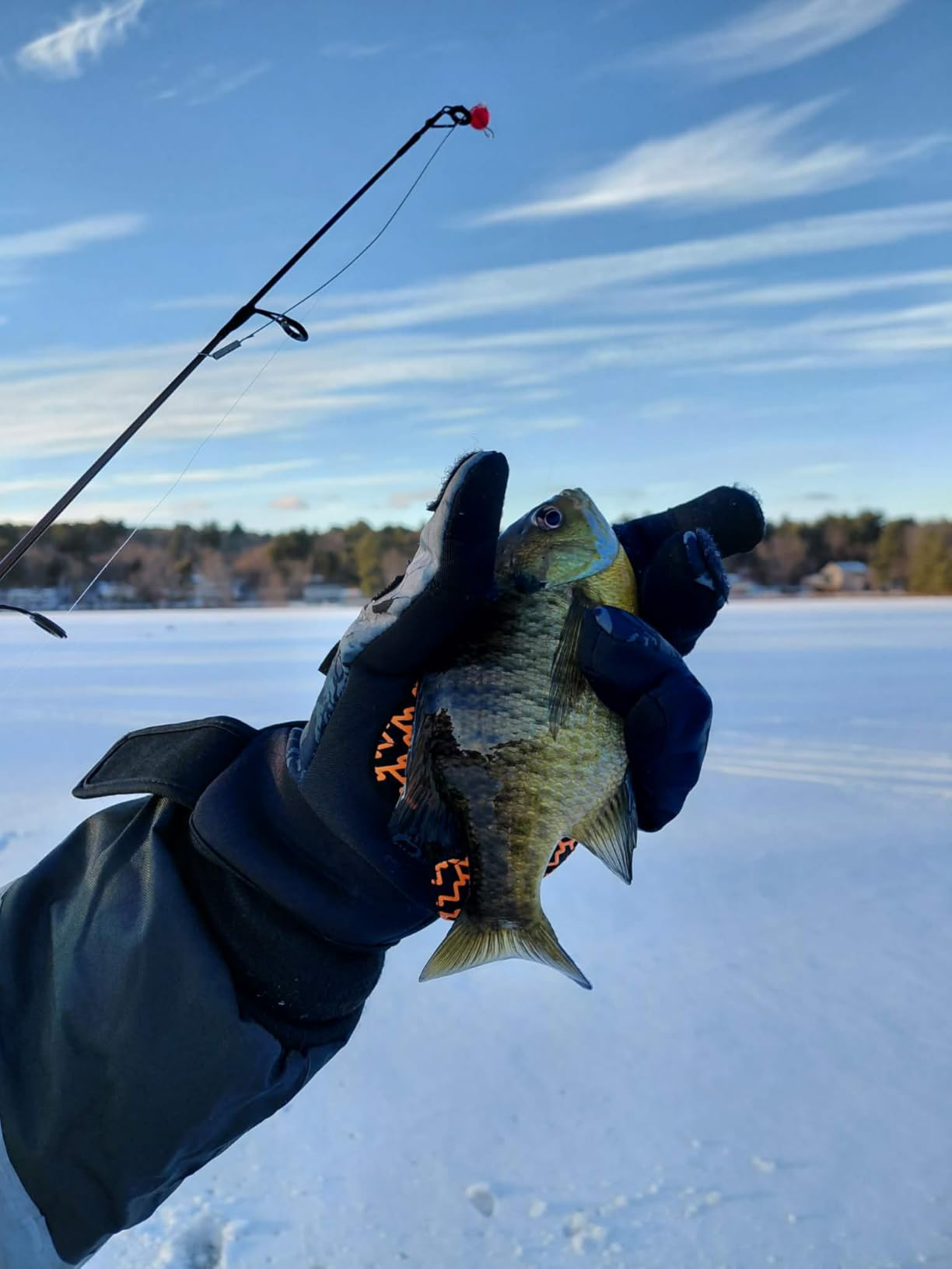 Gonex Ice Fishing Rod Reel Combo Medium Light Spinning Rod Complete Kit | Carbon Fiber Fiberglass Construction, 52pcs Fishing Jigs, 4+1 BB Reel, Winter Fishing Kit customer photo 2