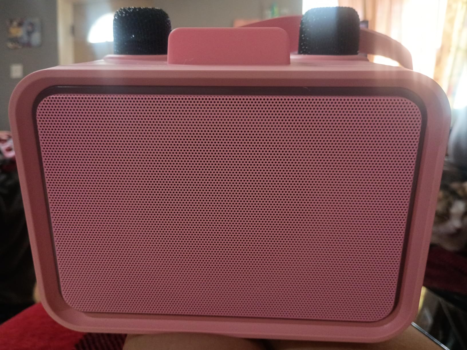 Karaoke Machine for Kids Adults, Bluetooth Speaker 2 Wireless Microphones | Bluetooth 5.3, 360° Stereo Sound, LED Lights, 5 Voice Effects, PA System, USB/TF/AUX, Portable, Family Home Party Gifts customer photo 1