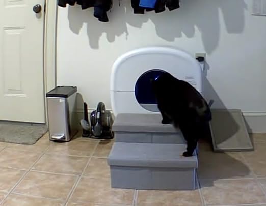 Cumrige Automatic Litter Box,Safety Sensor,App Control,95L Large Capacity customer photo 1