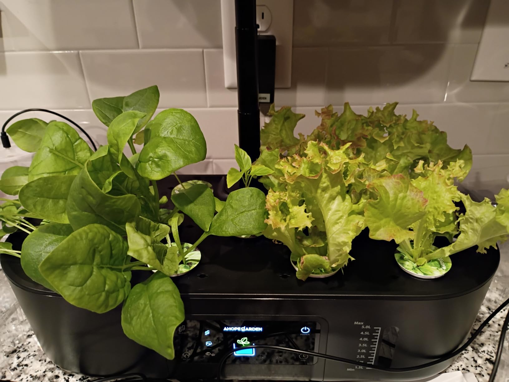 Ahopegarden Hydroponics Growing System Kit: 12 Pods with LCD Control Panel | Indoor Herb Garden with Grow Light, Planting Height Up to 17