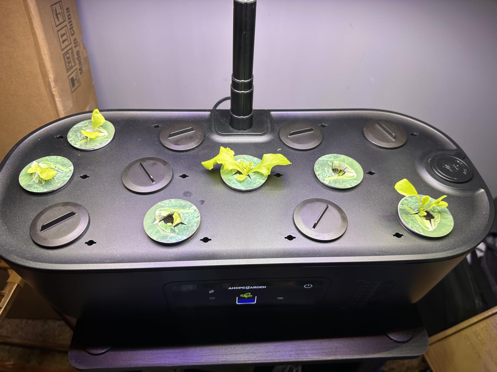 Ahopegarden Hydroponics Growing System Kit: 12 Pods with LCD Control Panel | Indoor Herb Garden with Grow Light, Planting Height Up to 17
