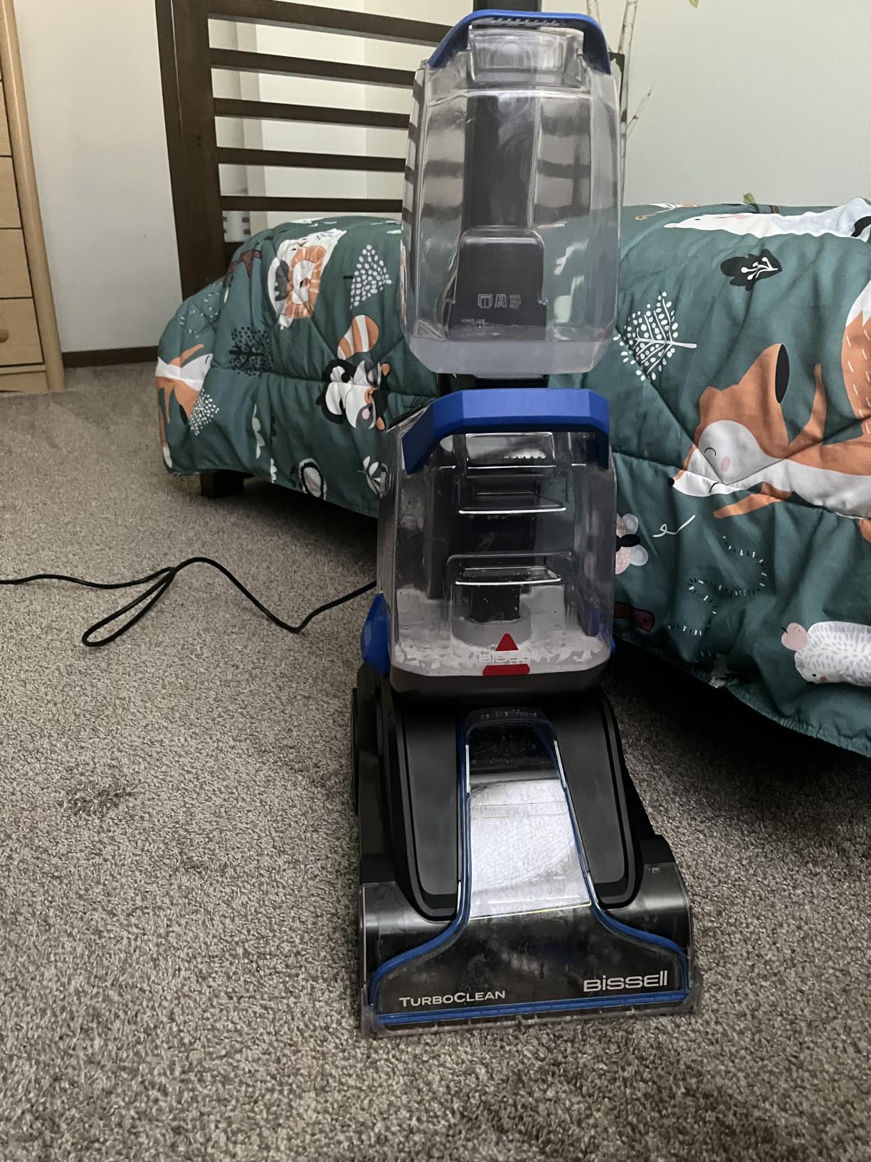 BISSELL TurboClean Upright Carpet Cleaner, OXY Formula, 3952 | Pro Max Clean & Protect formula; Oxy Urine Eliminator included; powerful upright carpet cleaning customer photo 2