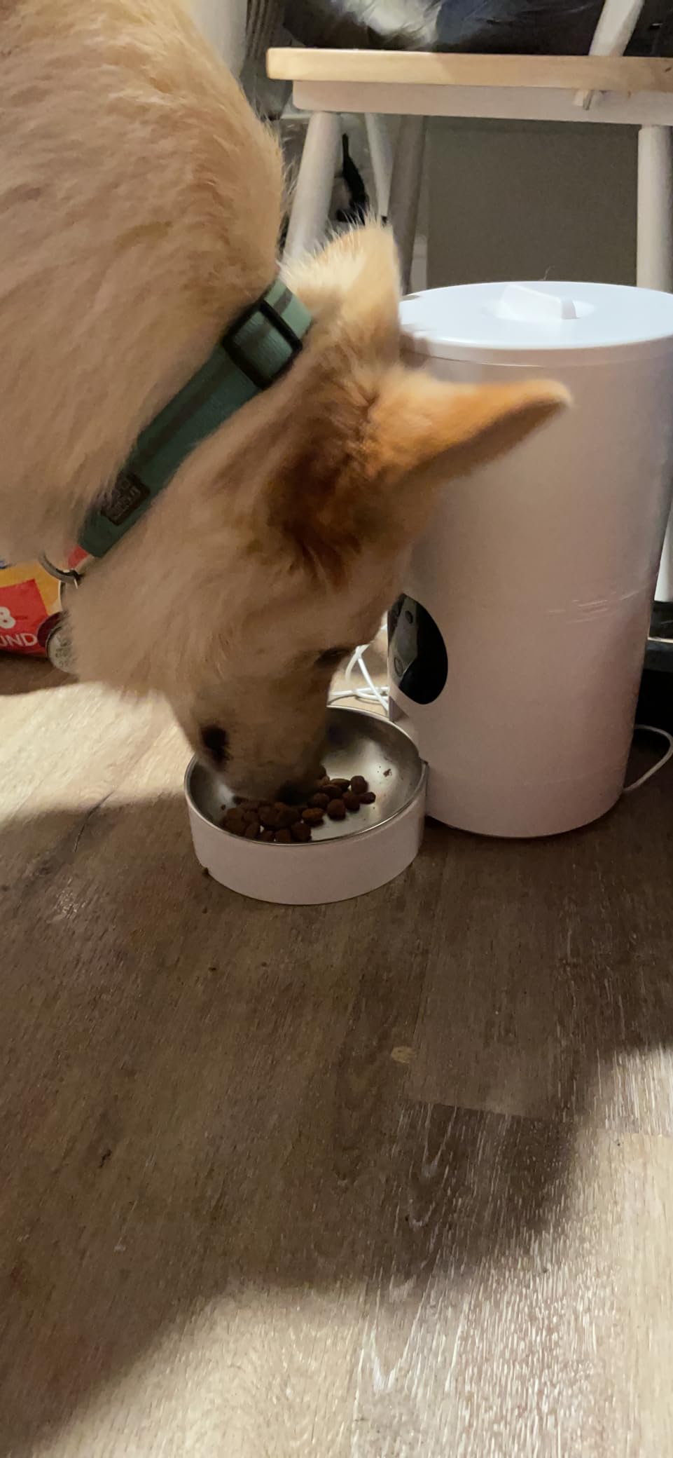 Yakry Automatic Dog Feeder with Camera - 8L/33 Cups Smart Dog Feeder | 5GHz/2.4GHz WiFi App Control for Small/Medium Dogs & Cats, 1080P HD Night Vision 2-Way Audio, Timed Dry Food Dispenser Indoor customer photo 1