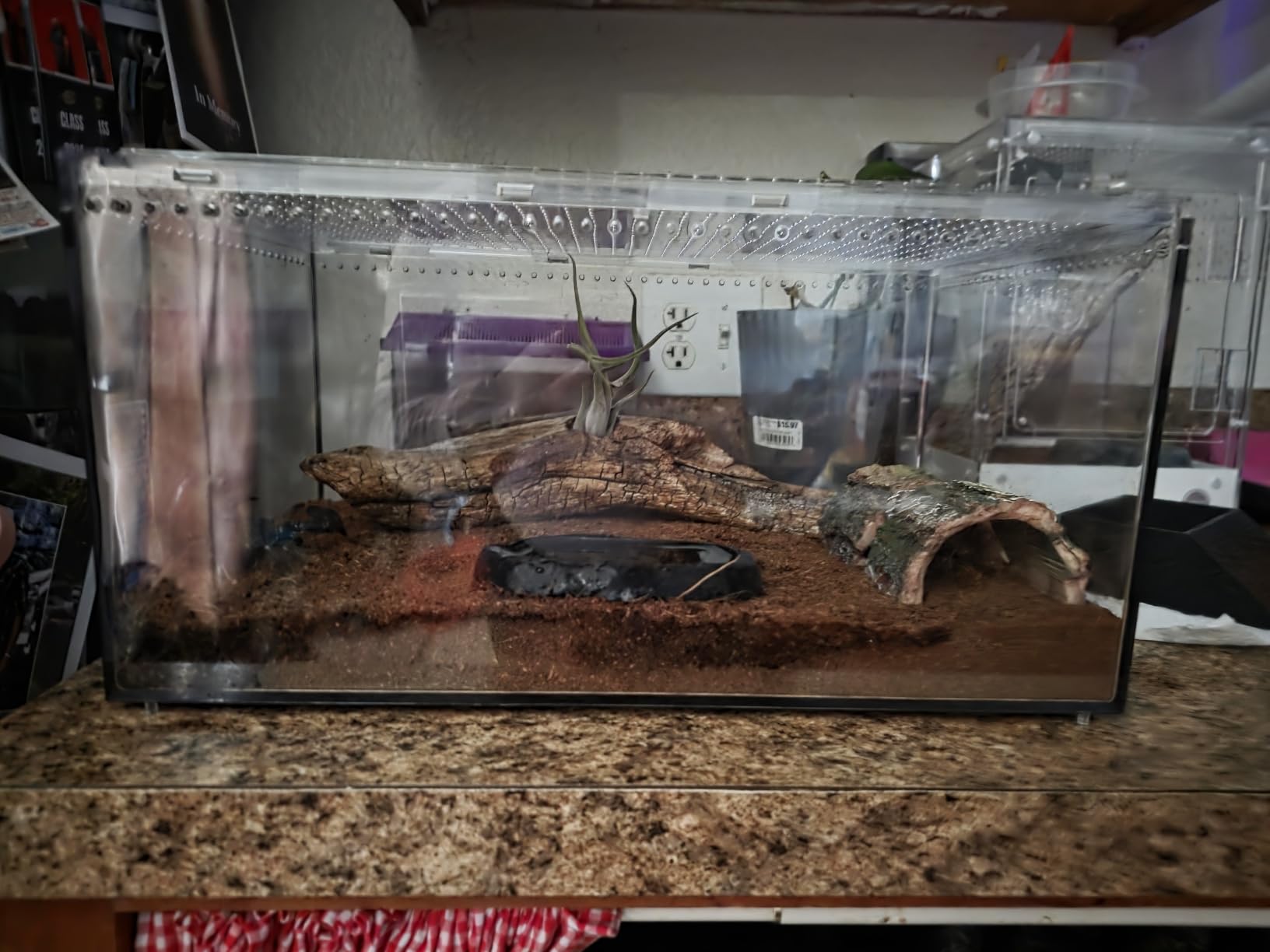 Reptile PC Tank, Escape Proof Magnetic Lid Tarantula Enclosure Large | Easy Clean Seamless Base Hermit Crab Habitat, Stackable Isopod Terrarium, Cross Ventilation Spider Starter Cage, Frog Container customer photo 2