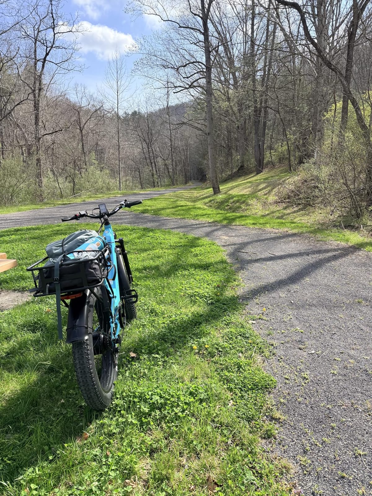 M1 Pro Electric Bike for Adults, 26 x 4 Fat Tires, 48V 17.5Ah Battery | Dual Suspension, 1800W Peak Motor, Up to 85 Miles, Step-Thru for Commutes & Trails, SGS Certified to UL 2849 for M1 Pro E-Bike customer photo 1