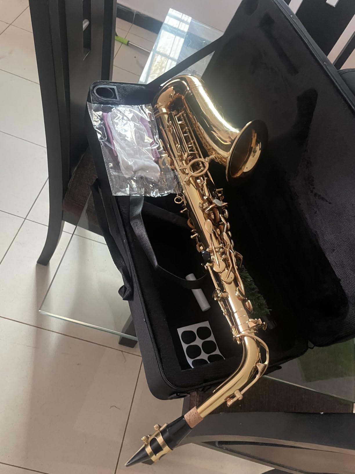 Beginner Alto Saxophone, E Flat - Complete Starter Kit with Case & 10 Reeds, for Adults & Students, Easy to Play for School Band & Practice(Gold) customer photo 1