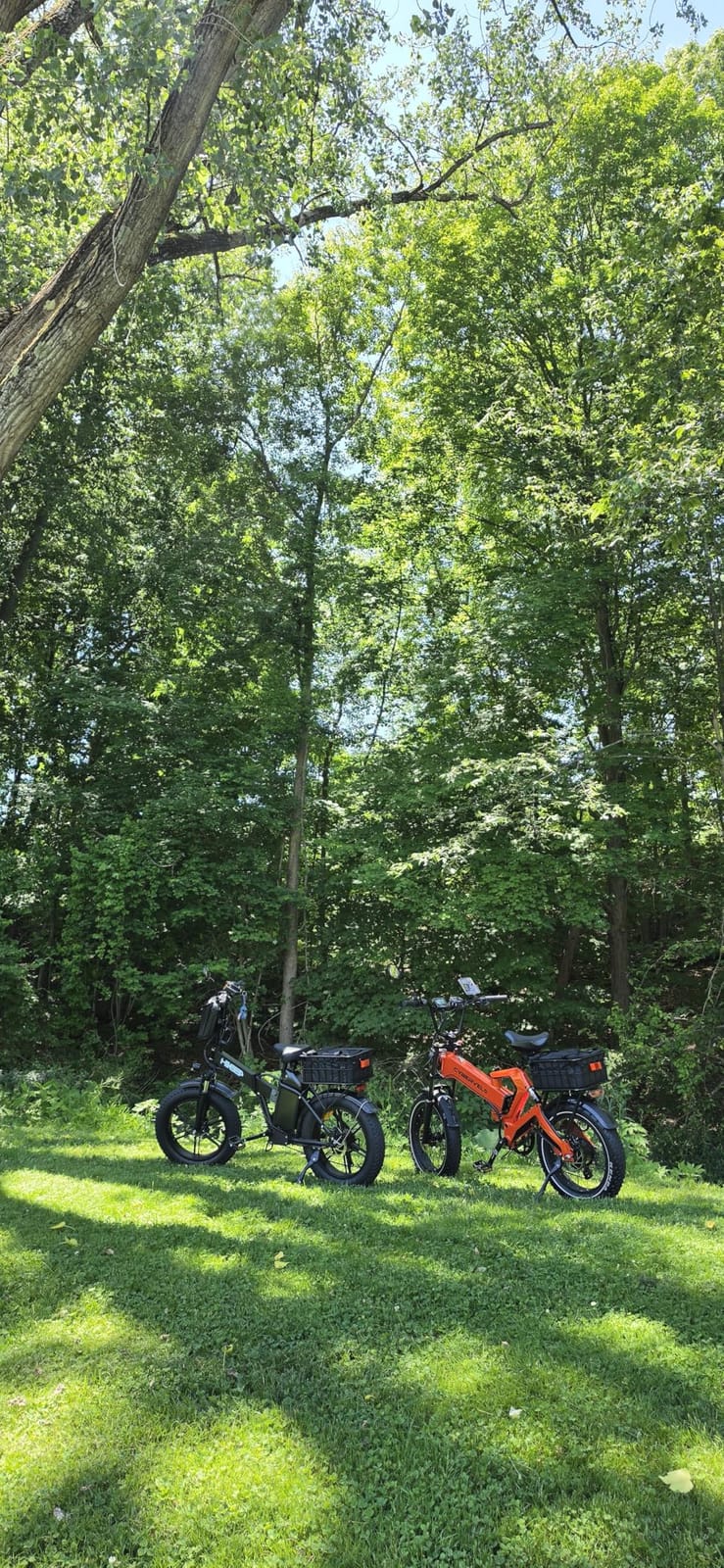 1000W(Peak 2000W)Folding Electric Bike for Adults,35MPH 100Mile,48V 25Ah/40Ah Removable Battery,20