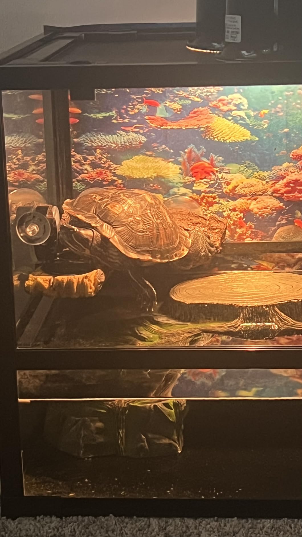 REPTIZOO 67 Gallon Large Turtle Tank Aquarium, 48