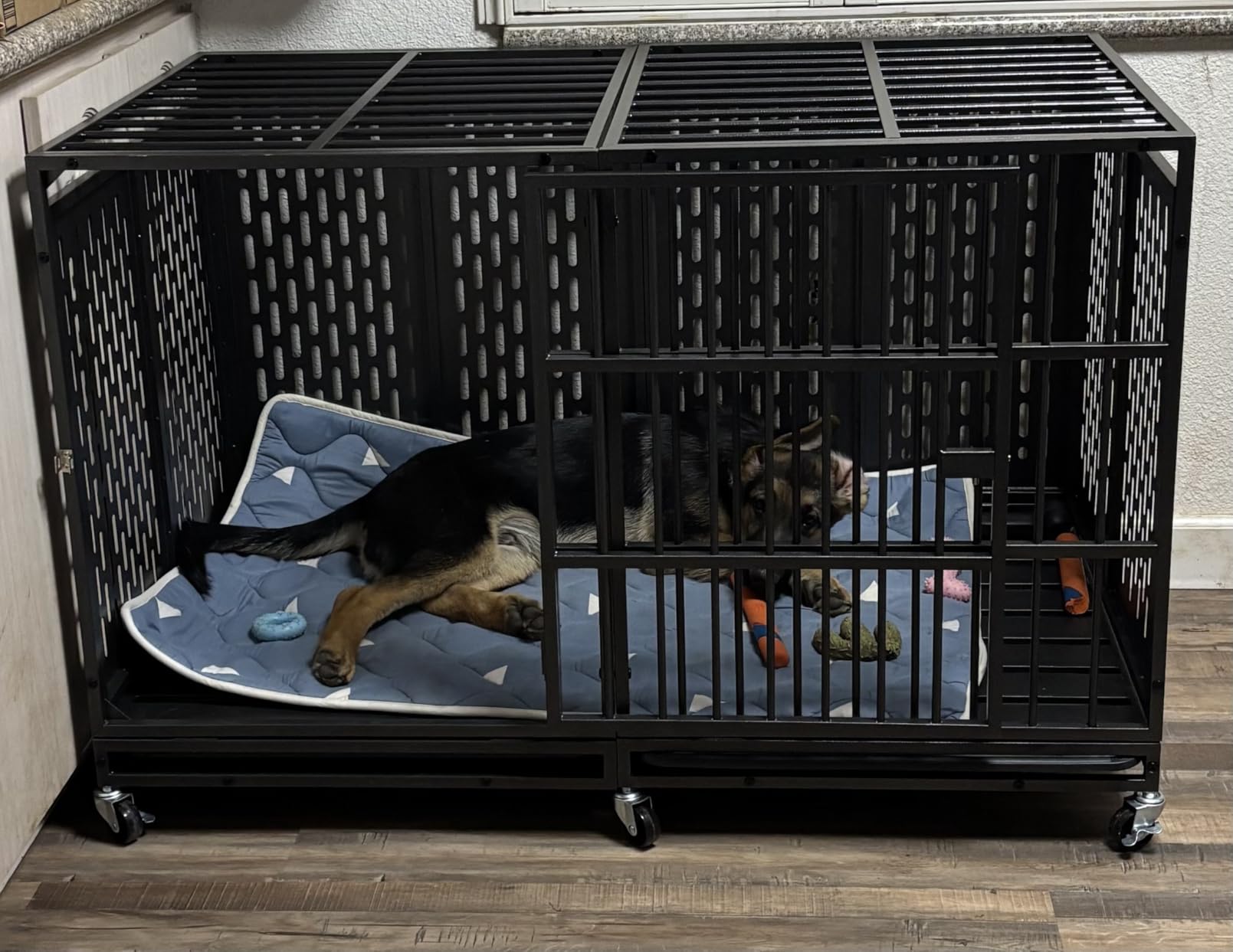 Snuowu 38 Inch Heavy Duty Dog Crate with Wheels, Folding Metal Big Dog Cage for Large and Medium Dogs, Extra Large XL XXL Indestructible Dog Crate with Removable Tray. customer photo 1