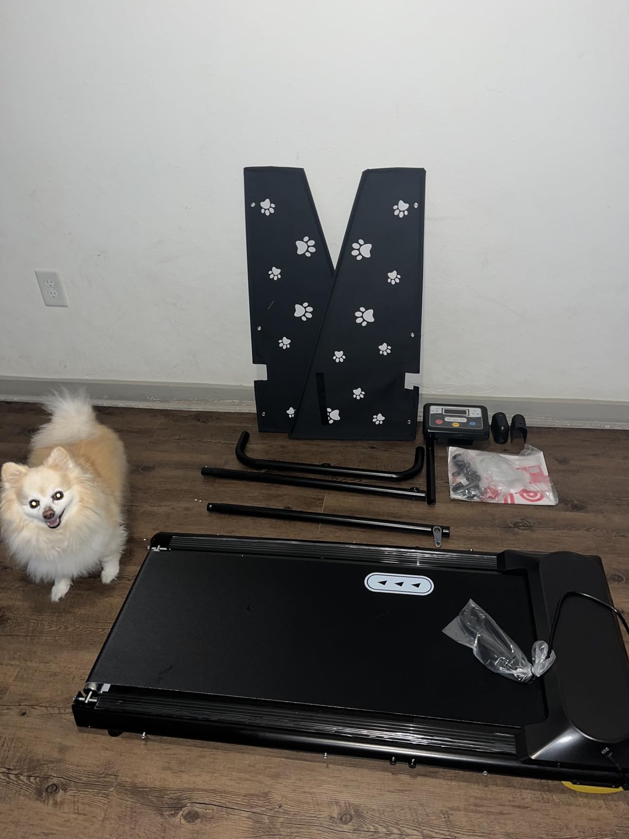 CIIHI Dog Treadmill for Medium Small Dogs - Pet Running Machine | 265lbs Capacity, 360° Rotatable Display, Indoor Pet Fitness & Training, Move Wheels & Remote Control, 2 in 1 Treadmill customer photo 1