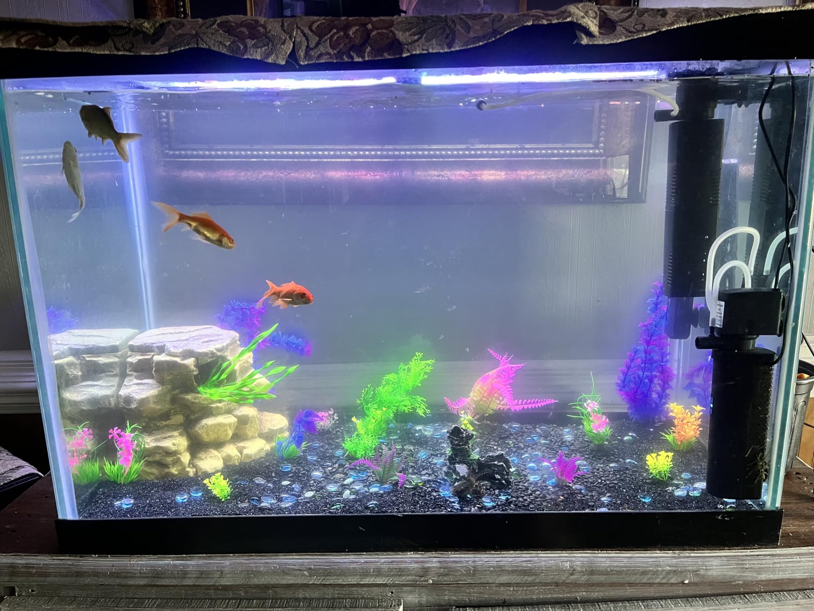 COOSPIDER Aquarium Filter with 6W U-V Light 158GPH for 10-45 Gallon Tank | Small Internal Fish Tank Filter with 8W Water Pump for Green Clean, Turtle Tank, Oxygen Supply, Deodorization, Water Cycle customer photo 1