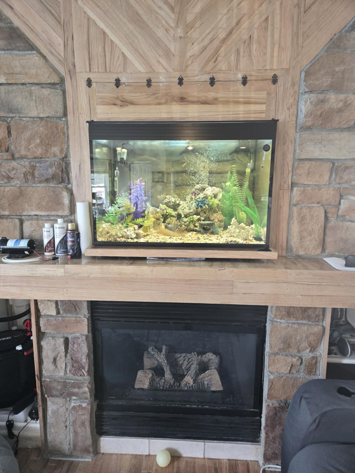 150-GO-P Gallon Starfire Aquariums with Center Overflow 60x24x24 H 12mm Shadow Overflow Peninsula customer photo 1
