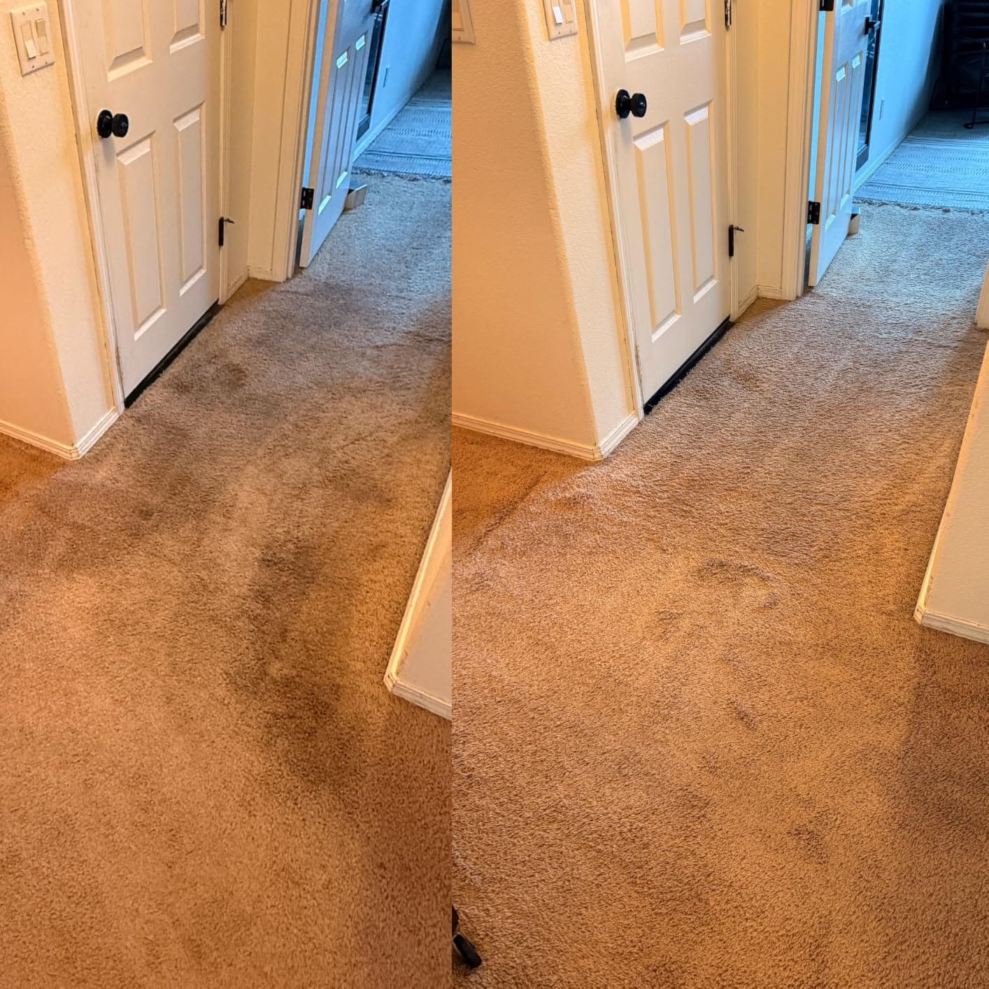 BISSELL Revolution HydroSteam Carpet Cleaner, 4123 | HydroSteam technology; 4-in. self-cleaning tough stain tool; formulas included; upright deep cleaner customer photo 1