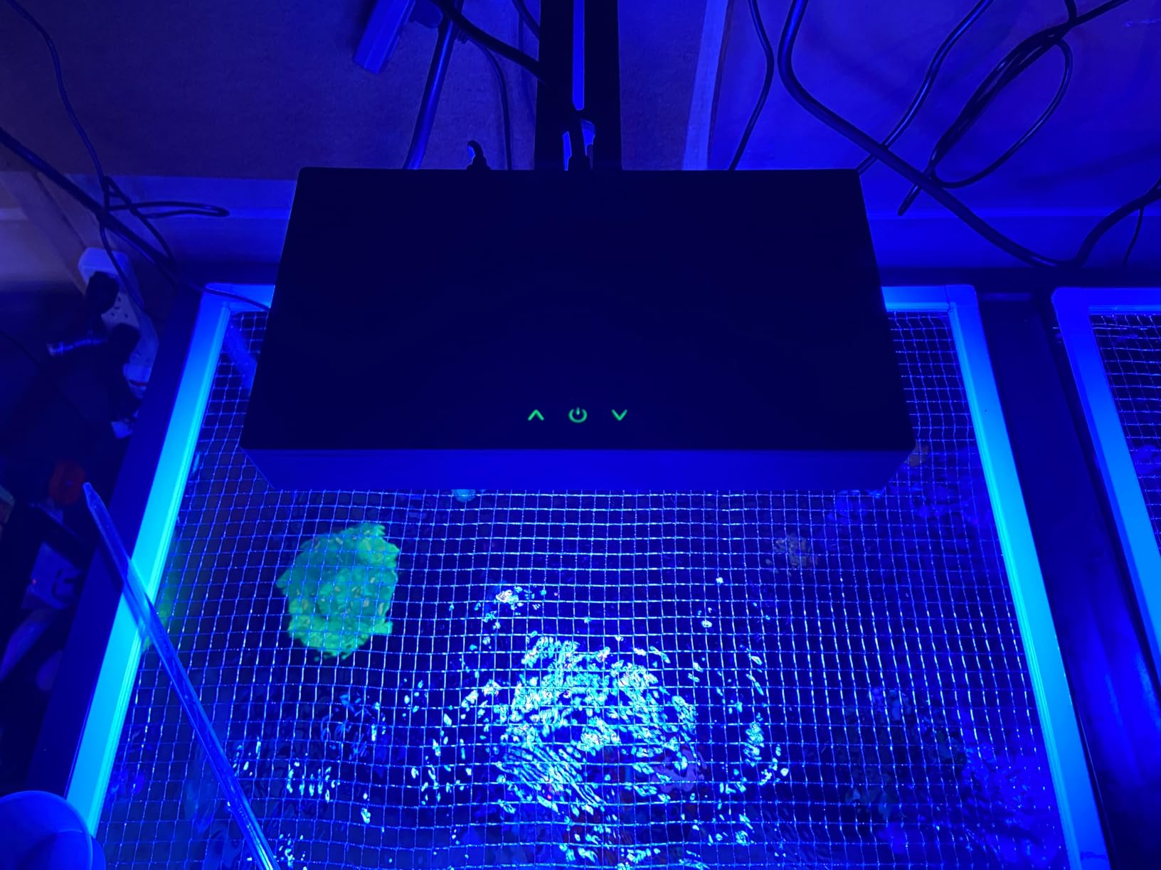 NICREW NavaReef 65 Reef LED Light, 65W Reef Aquarium Lighting for Soft/LPS Corals and Saltwater Fish Tanks, Built-in Timer, Blue Focused Spectrum customer photo 1