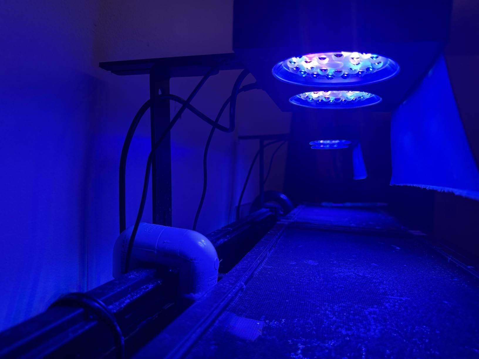 NICREW NavaReef 65 Reef LED Light, 65W Reef Aquarium Lighting for Soft/LPS Corals and Saltwater Fish Tanks, Built-in Timer, Blue Focused Spectrum customer photo 2