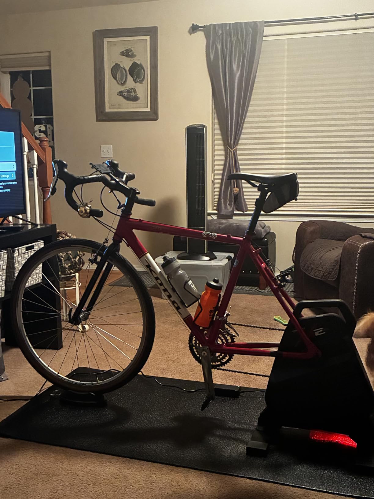 ThinkRider X2Max Smart Bike Trainer, 2000w, Simulates 18% Slope, ANT+ & BLE | Cycle Trainer Bicycle Trainer, Super Quiet, Indoor, Cassette Not Included, compatible with cycling software such as ZWIFT customer photo 1