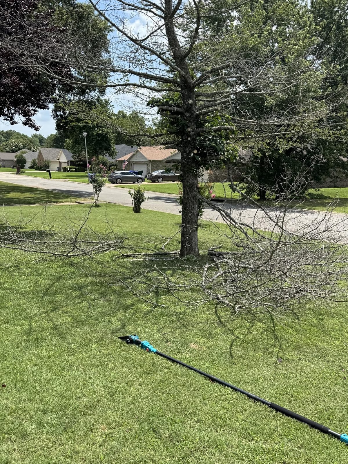 2-in-1 Cordless Pole Saw & Mini Chainsaw with Extension Pole | Electric Handheld Chain Saw with 2x21V 4.0Ah Rechargeable Batteries,Auto Oiling,Max 16Ft Saw for Tree Trimming&Branches customer photo 2