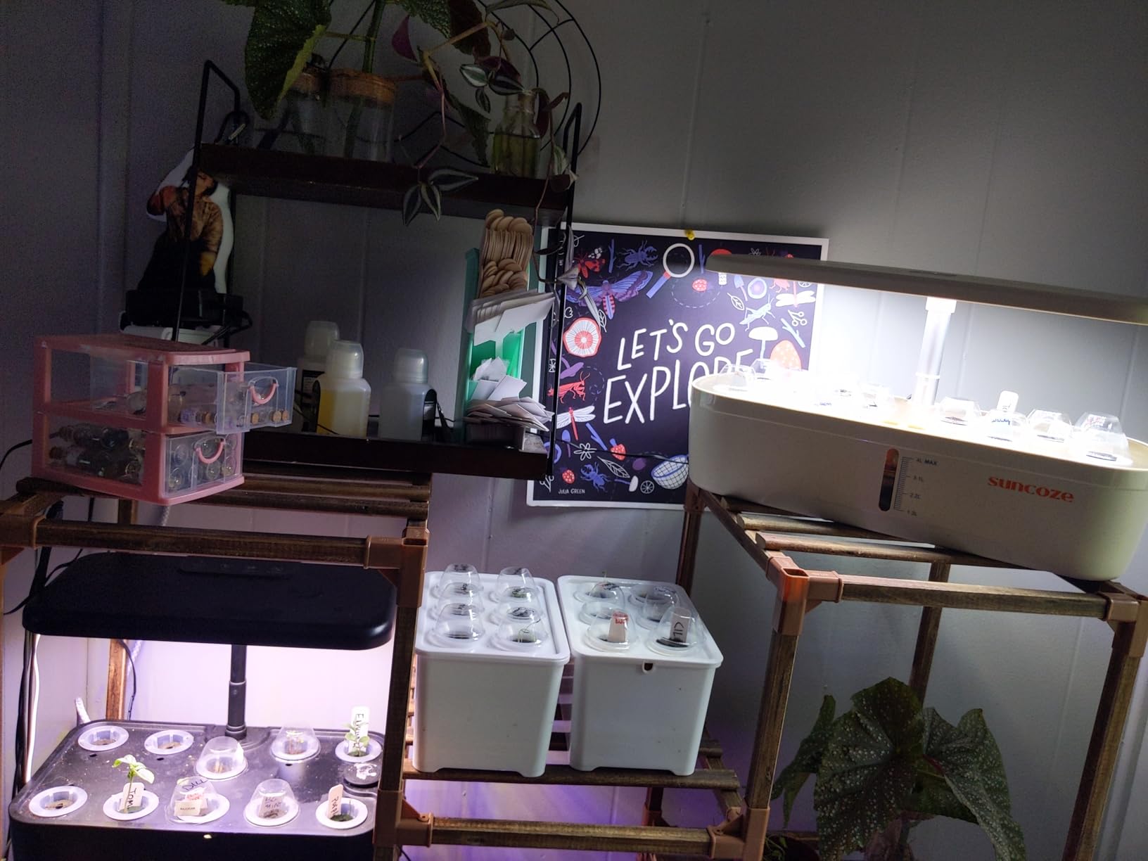 SUNCOZE Hydroponics Growing System, 12 Pods, 12.4 in Adjustable Height | Indoor herb Garden with 20W LED Grow Light, Visible Water Tank with Pump, Indoor Gardening System, Gardening Gifts, Black customer photo 2