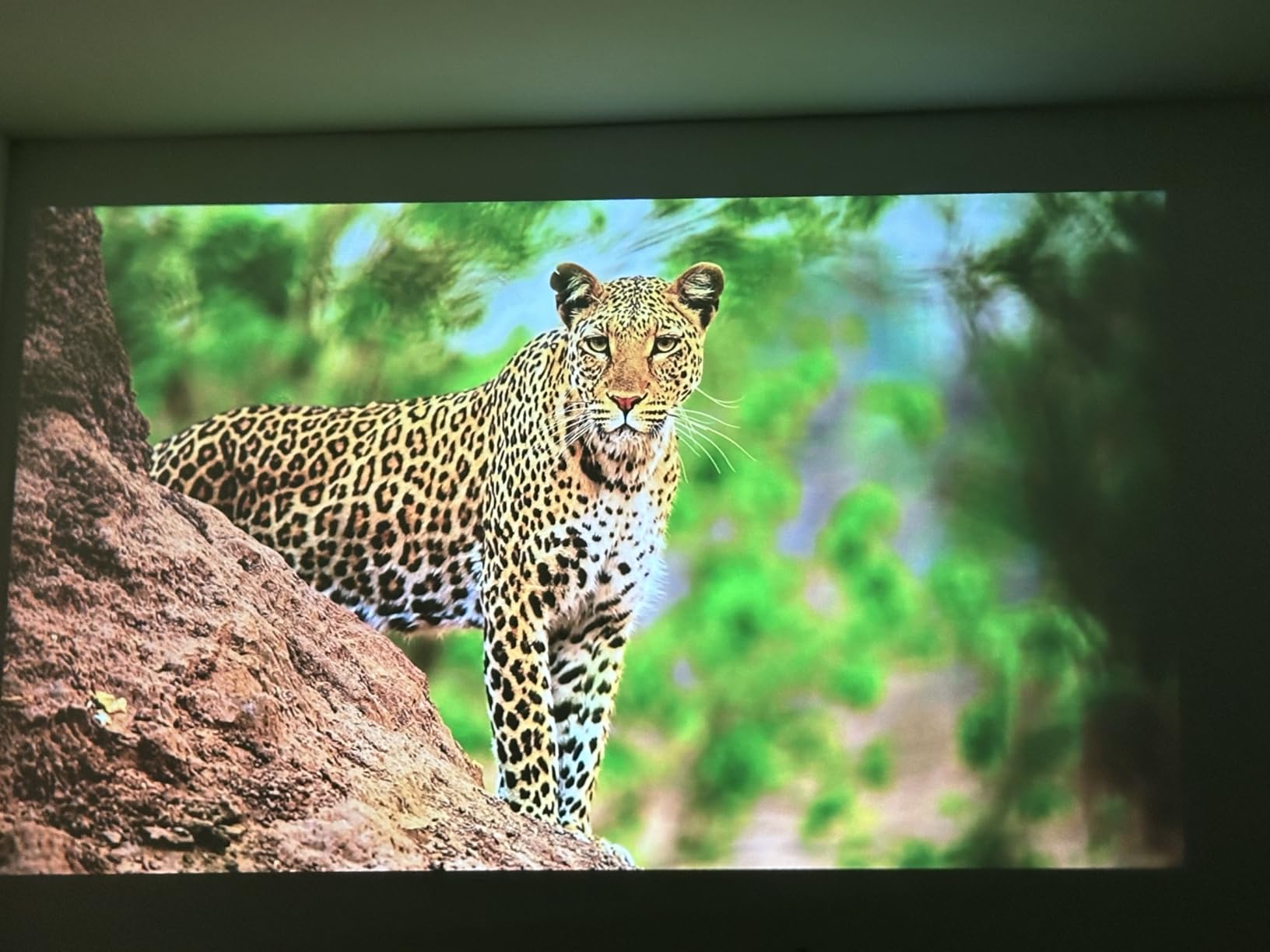 1500 ANSI lumens built-in streaming app full HD smart projector, HAPPRUN 4K projector, supports Wi-Fi and Bluetooth, Dolby audio, 300-inch large screen, suitable for home, outdoor, and indoor viewing customer photo 2