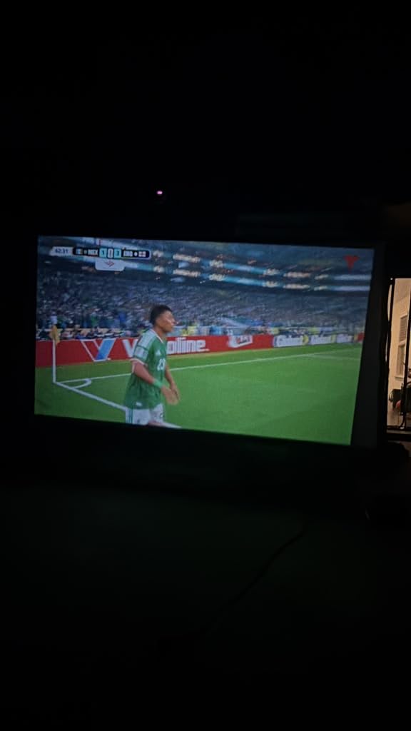 Outdoor Projector Screen with Stand - 120 Inch Portable Projector Screen Indoor and Outdoor Projector Screens 16:9 4K HD Wrinkle Free Lightweight Movie Screen with Carry Bag customer photo 1