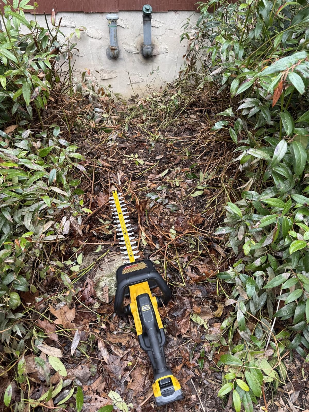 DEWALT 20V MAX 22