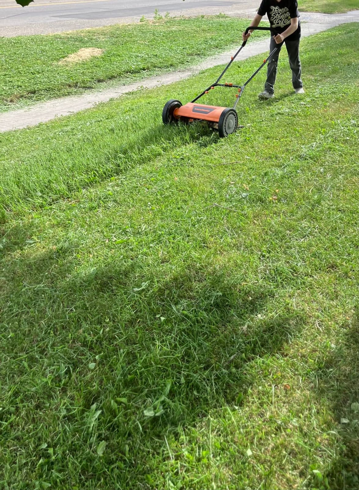 LawnMaster LMRM1801 Push Reel Lawn Mower 18-Inch 5-Blade customer photo 2