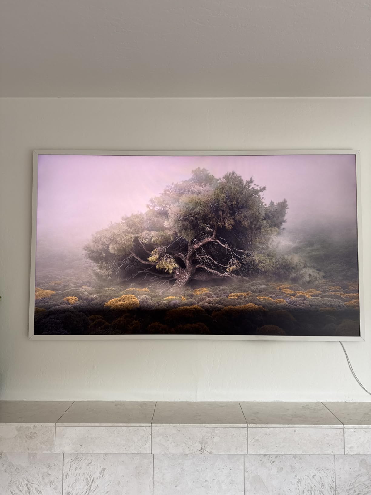 Samsung 55-Inch Class The Frame LS03F 4K QLED Smart TV (2025 Model) Slim Fit Wall Mount, Modern Frame Design, NQ4 AI Gen2 Processor, Art Mode, Artful Picture Quality, Samsung Vision AI, Alexa Built-in customer photo 2