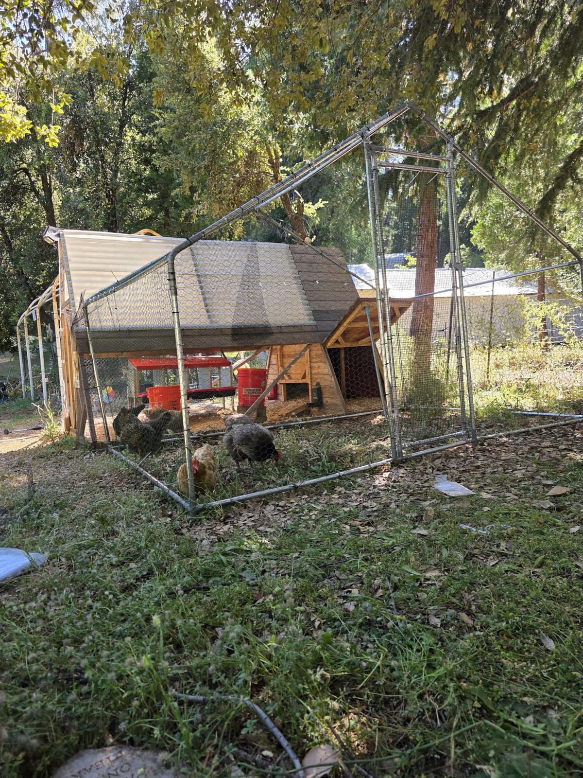 VEVOR Large Metal Chicken Coop with Run, Walkin Chicken Coop for Yard with Waterproof Cover, 6.5 x 9.8 x 6.5 ft, Spire Roof Large Poultry Cage for Hen House, Duck Coop and Rabbit Run customer photo 1