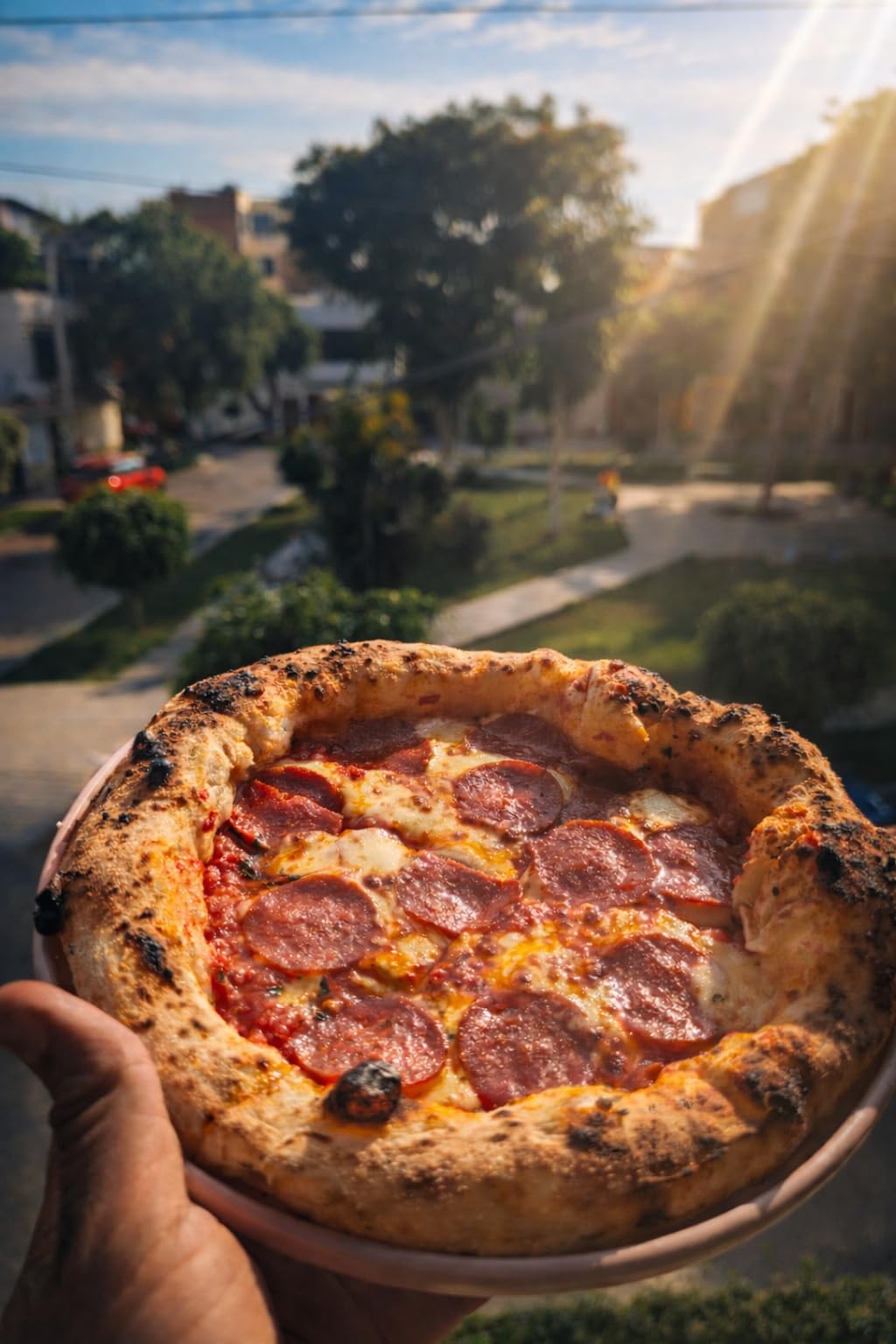 Tread Pizza Oven, Make 12
