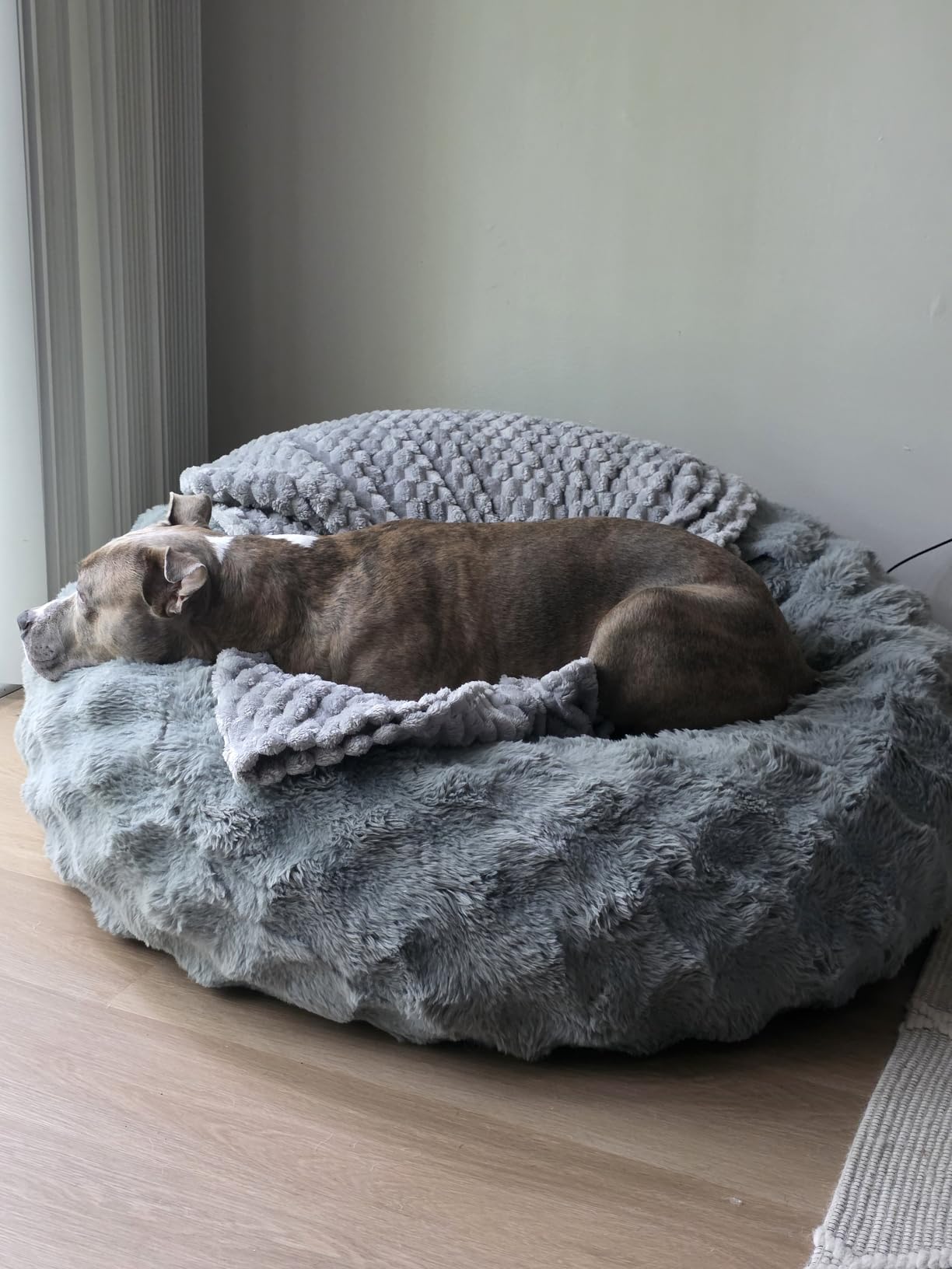 Hobestluk Adults Bean Bag Chair 5FT Big BeanBag Chair Giant Large Oversized | Memory Foam,Washable Cover,Unique Fluffy Bubble,Comfy Big BeanBag with Filling Lounging Gaming Bedroom Living Room | Grey 5FT customer photo 1