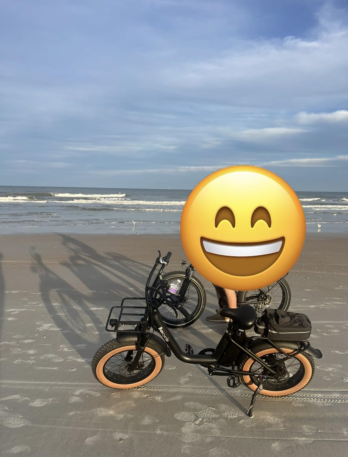 Baicycle 1800W Peak Electric Bikes for Adults 20