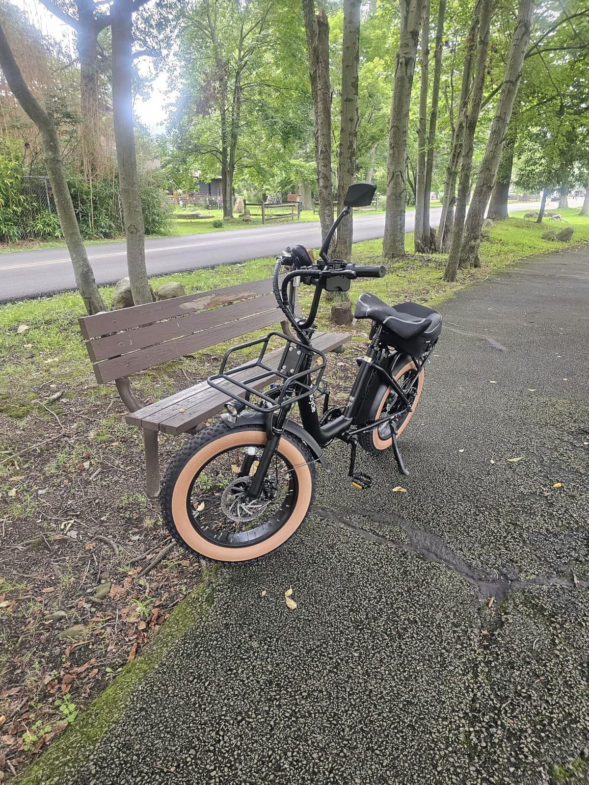 Baicycle 1800W Peak Electric Bikes for Adults 20
