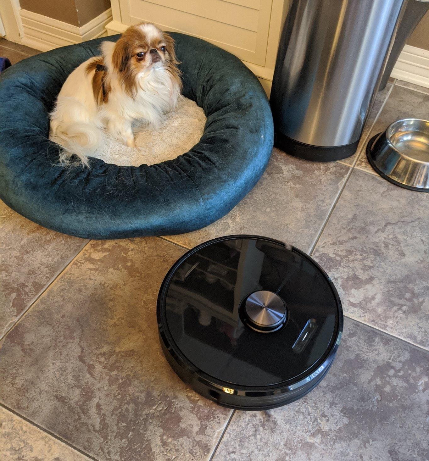 roborock Q7 L5 Robot Vacuum and Mop Combo, 8,000Pa Suction | Upgraded from Q5 Pro, Dual Anti-Tangle System, LiDAR Navigation, Multi-Level Mapping, Self-Charging Robotic Vacuum, Black customer photo 2