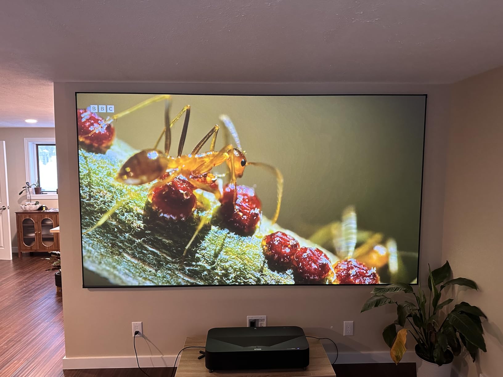 NothingProjector ALR Screen for Ultra Short Throw Projector, 135 inch | 95% Ambient Ceiling Light Rejecting, 4K/8K UHD Active 3D, Fixed Frame 16:9, Black Series customer photo 1