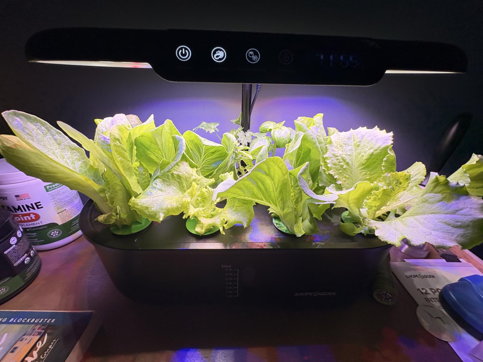 Ahopegarden Hydroponics Growing System: 12 Pods with Smart Env.Detection | Indoor Herb Garden with Full Spectrum LED Grow Light for Growing Vegetables, Herbs and Lettuce - Healthy-Living Enthusiasts customer photo 2