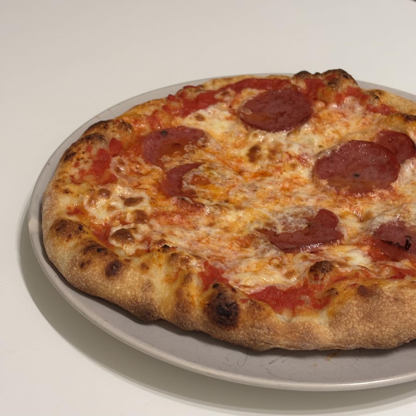 BIG HORN 14-Inch Indoor Pizza Oven, 850°F High-Heat Electric Countertop Pizza Oven for Restaurant-Style Artisan Pizza with Pizza Stone and Pizza Peel, PID Precision Temperature Control customer photo 1