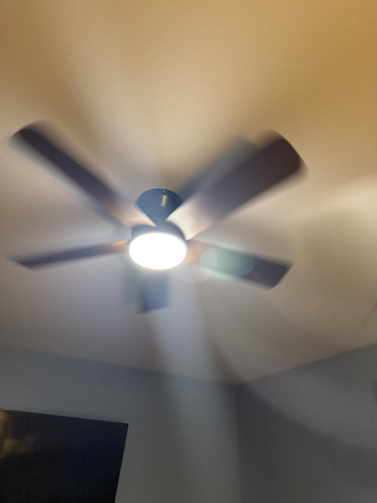 Depuley Modern Ceiling Fan with Light: 42-Inch Black Small Fans for Bedroom Indoor Outdoor - Dimmable Low Profile Ceiling Fans with Remote Control Flush Mount 5 Reversible Black Blades 6 Speeds Timer customer photo 1