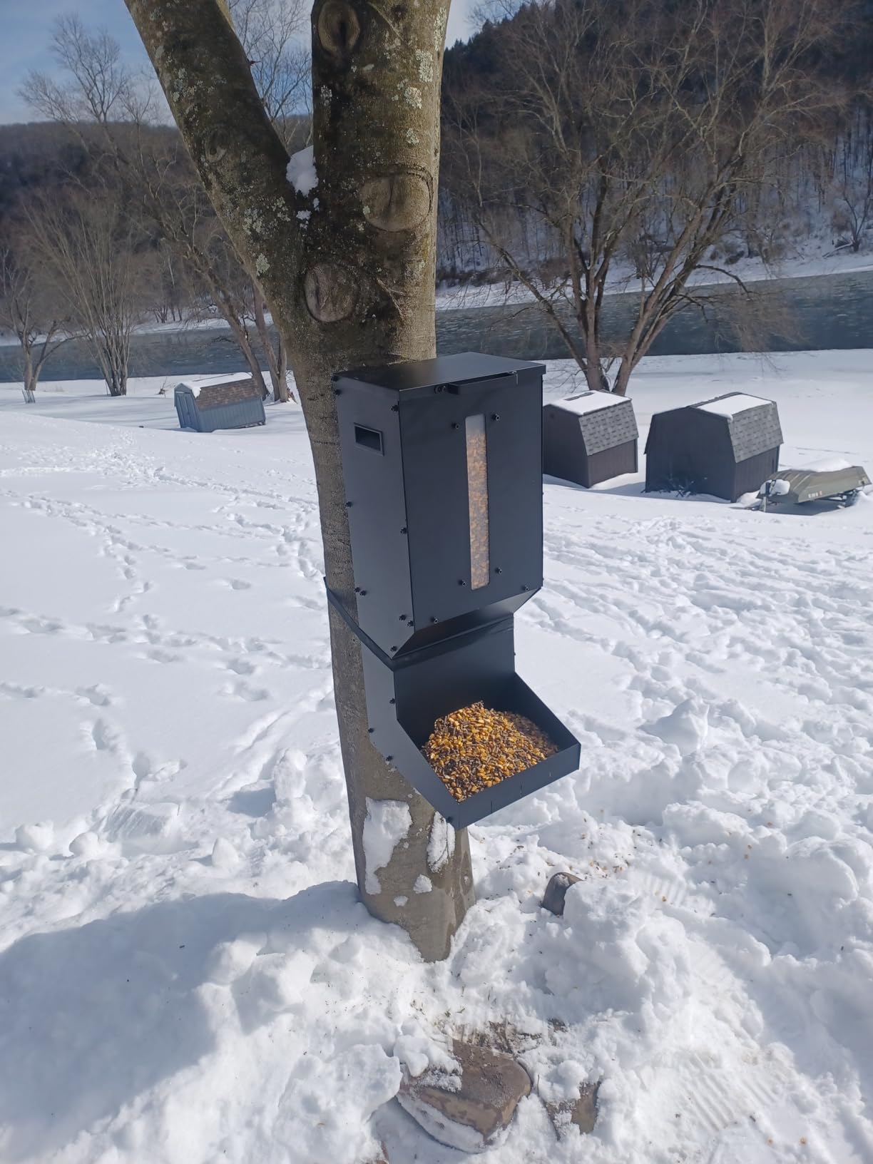 Automatic Metal Deer Feeder - 60 lb/11Gal Capacity | Gravity Dispenser Feeds Protein and Corn, Hanging or Wall Mount Wildlife Feeder for Field Or Farm customer photo 2