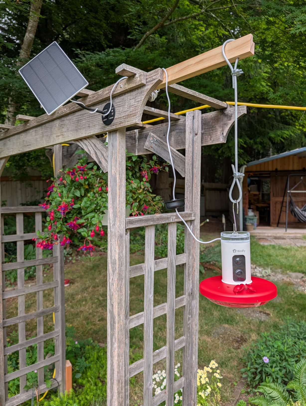 Hummingbird Feeder with Camera & Solar Panel, Smart Bird Feeder with AI Recognition & Capture on Outdoors, Gardens, Easy to Clean, 14oz Capacity, SE | Smart Humming bird Feeder for Record, AI Bird Identification, 1080P, Ant Moat & Bee Proof, Gift for Bird Lovers customer photo 2