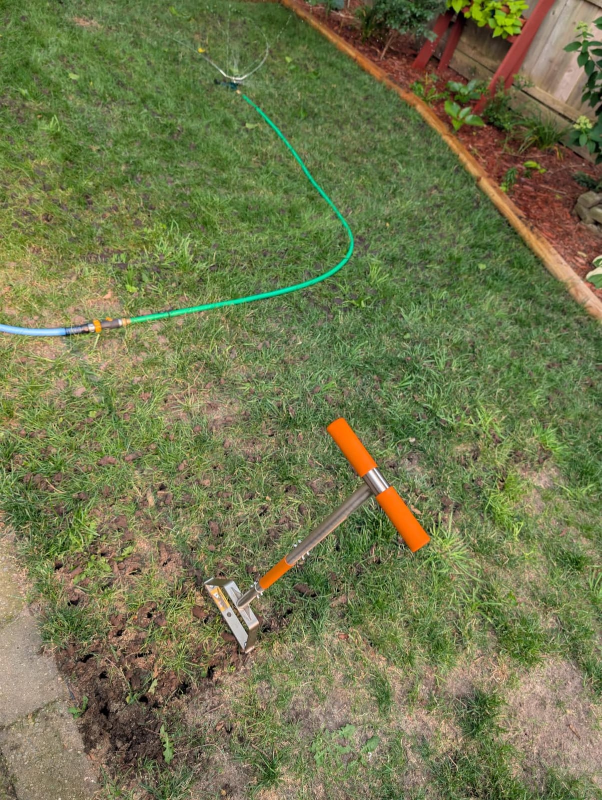 Manual Core Aerator Lawn Tool - Lawn Aerator Tool with 3 Hollow Tines, Semi-Assembled Grass Aerator Core Aeration Tool for Lawn, Yard Plug Aerator for Lawn Care Compacted Soil - Orange customer photo 2
