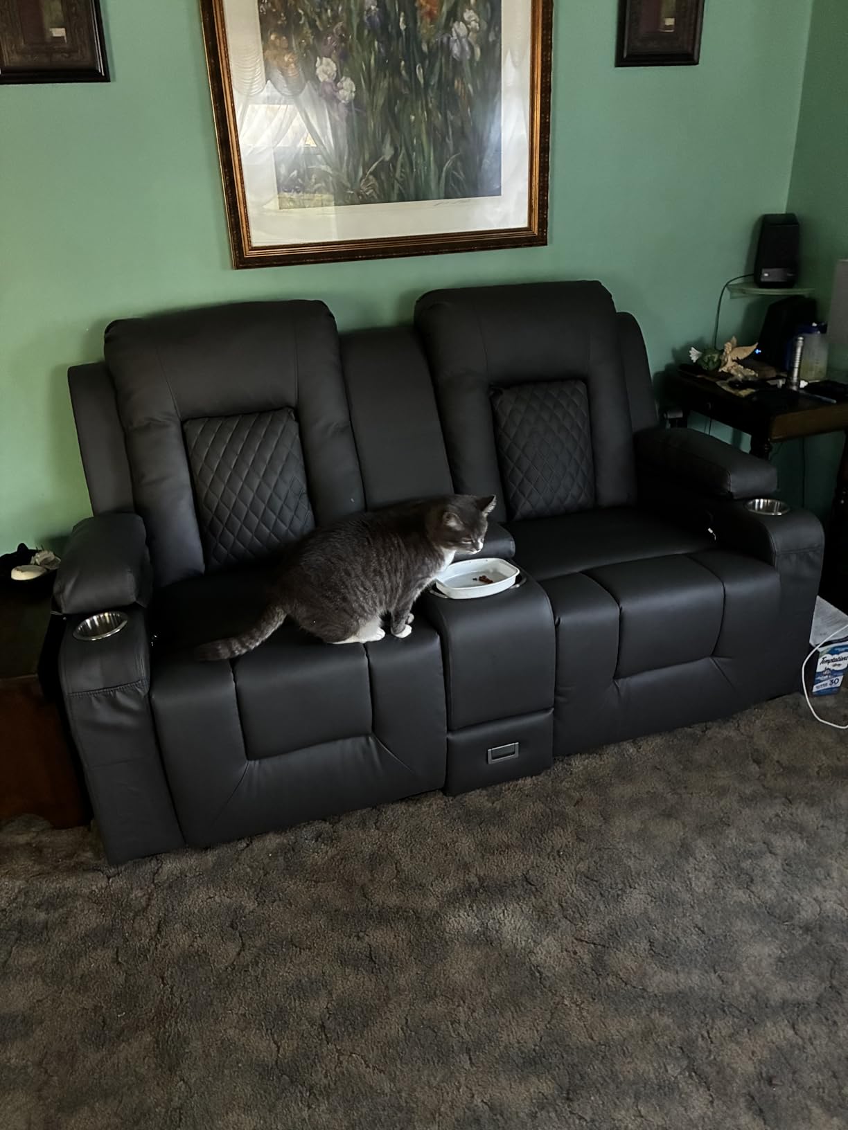 Loveseat Recliner Sofa, Home Theater Seating with Center Console, Reclining Loveseat RV Couch with USB Ports & Phone Holders, Wall Hugger RV Sofa Furniture with Storage & Pocket customer photo 1