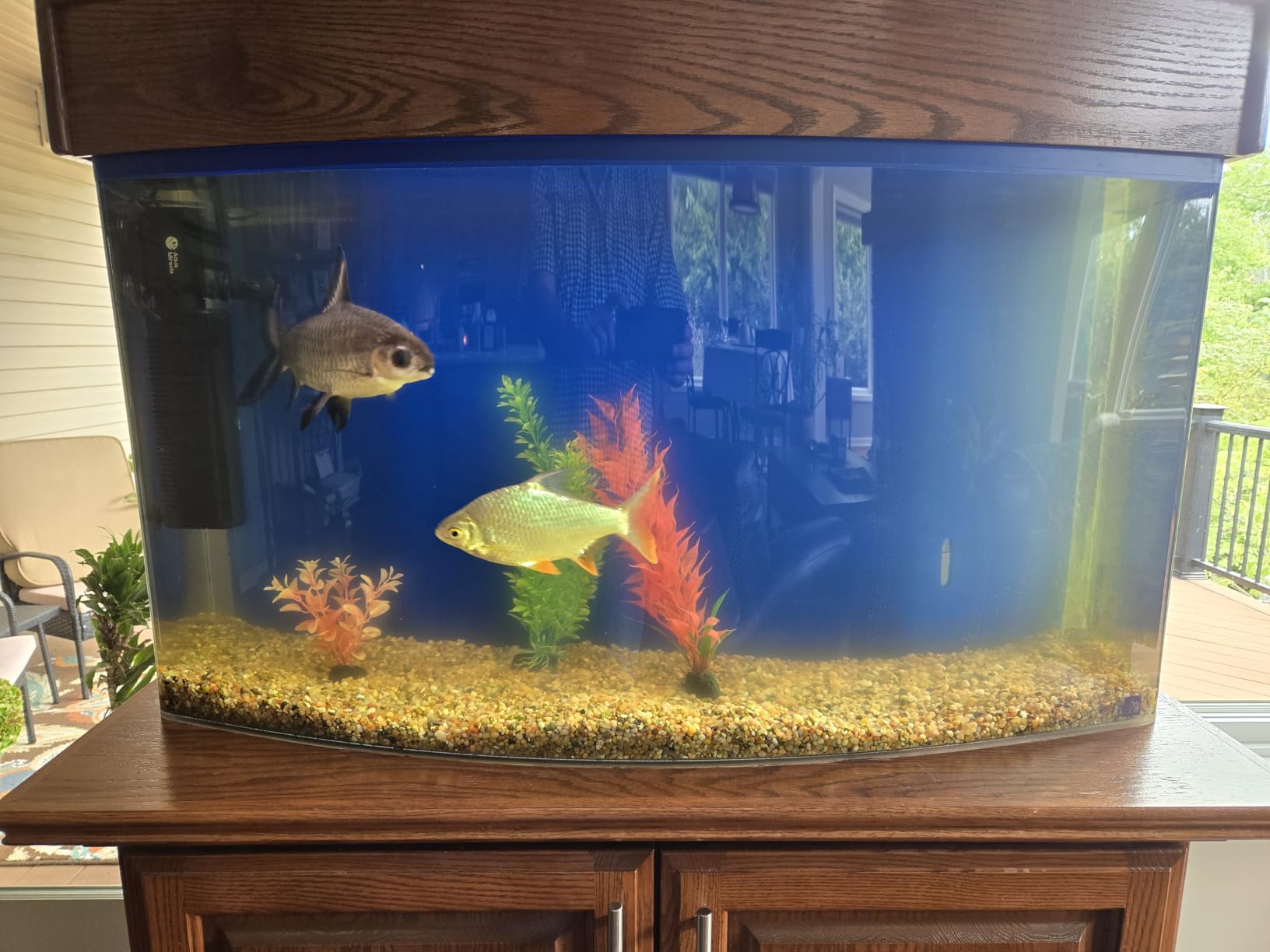 AquaMiracle Aquarium Filter with U - V Light & Filter Sponge, Fish Tank Filter with Timer for Green Water, Turtle Filter with Aeration & Rainfall Mode for Aquarium 20-70 Gallon customer photo 2