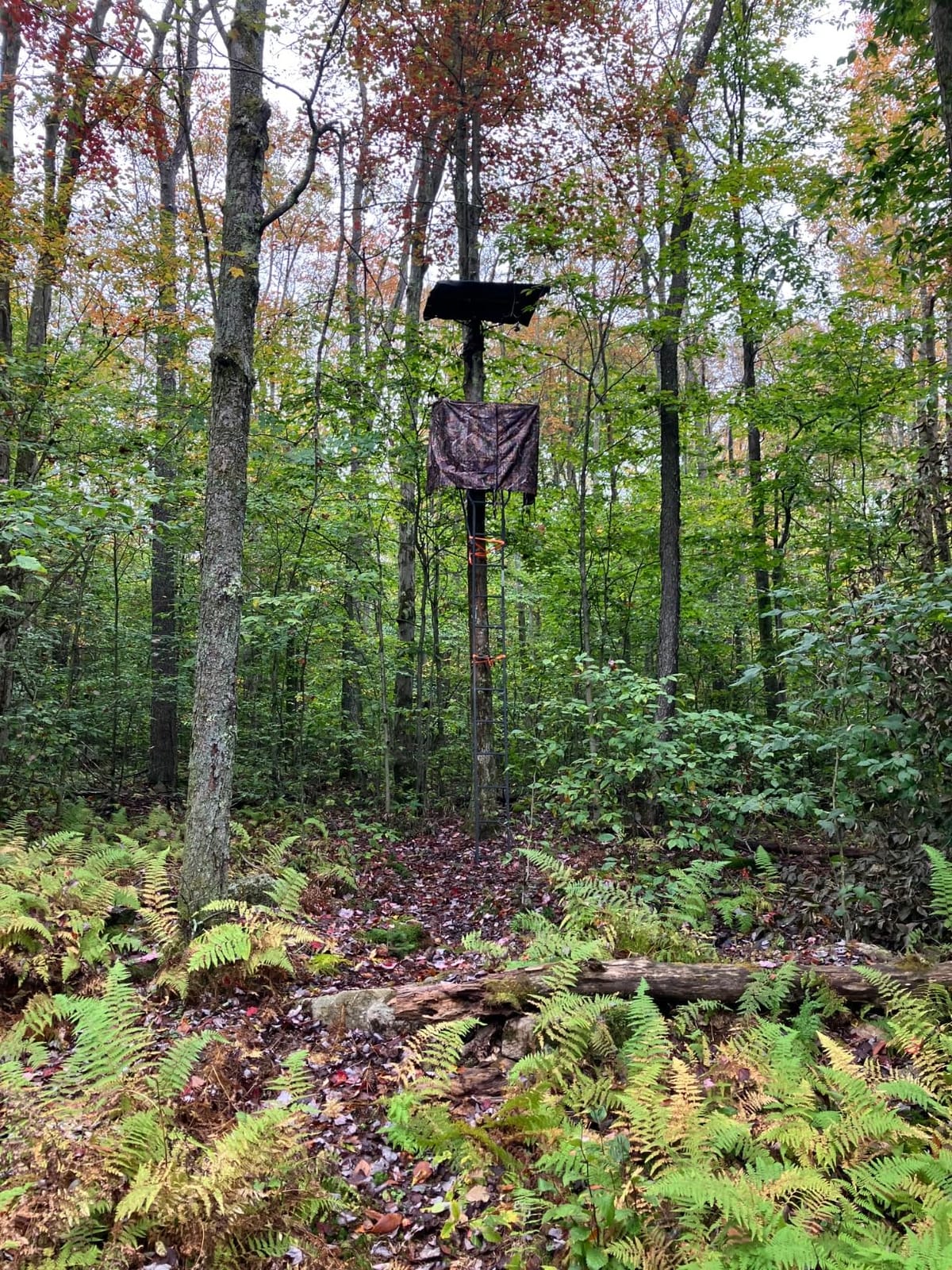 ChezMax Hunting Tree Stand Blind Cover - 110