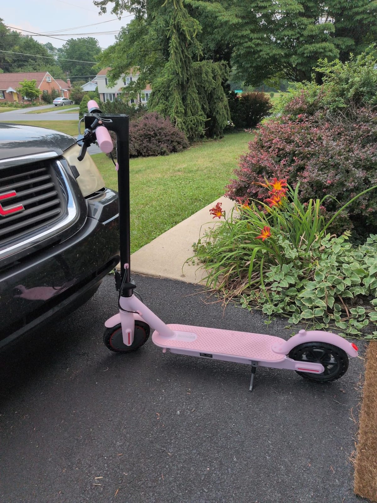 Roinside Electric Scooter - 350W/500W Motor, 8.5
