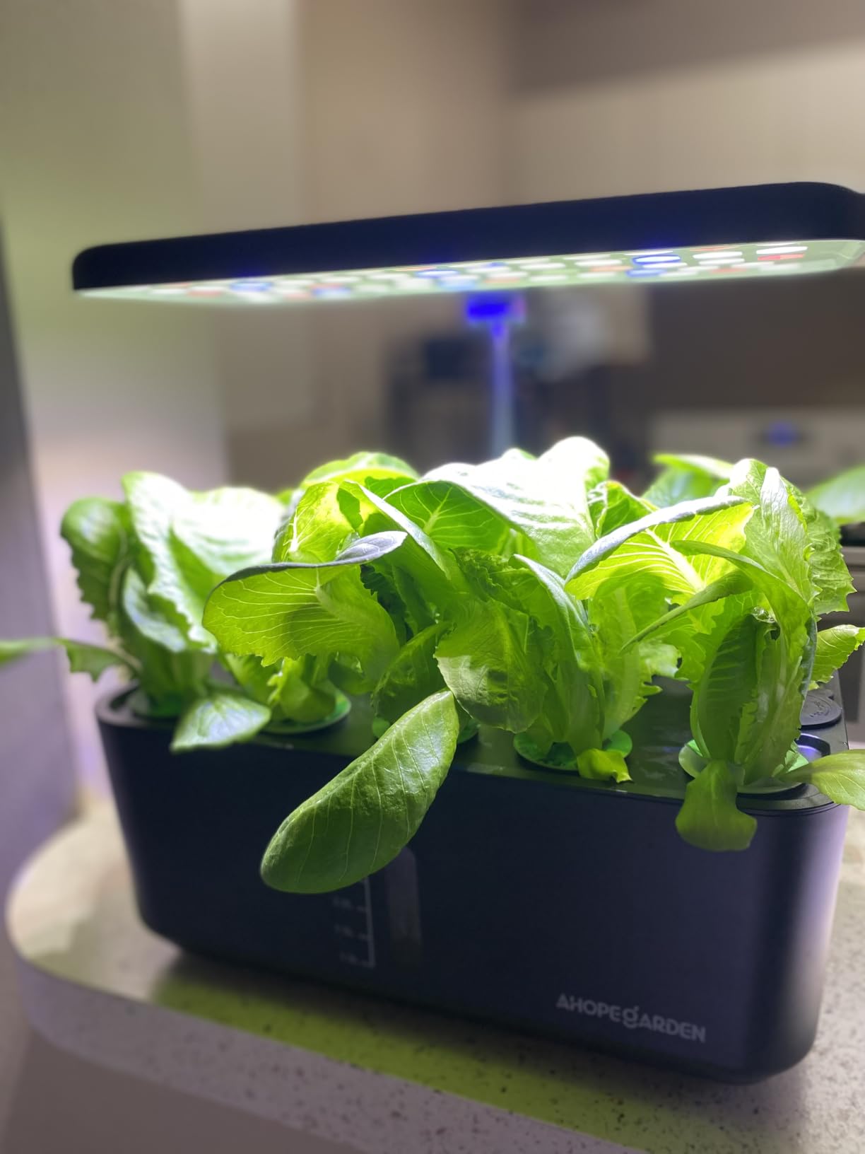 Indoor Garden Hydroponics Growing System: 10 Pods Kit with LED | Plant Germination Kit Herb Vegetable Growth Lamp Countertop Hydroponic Planter Harvest Lettuce for Healthy-Living Enthusiasts customer photo 2