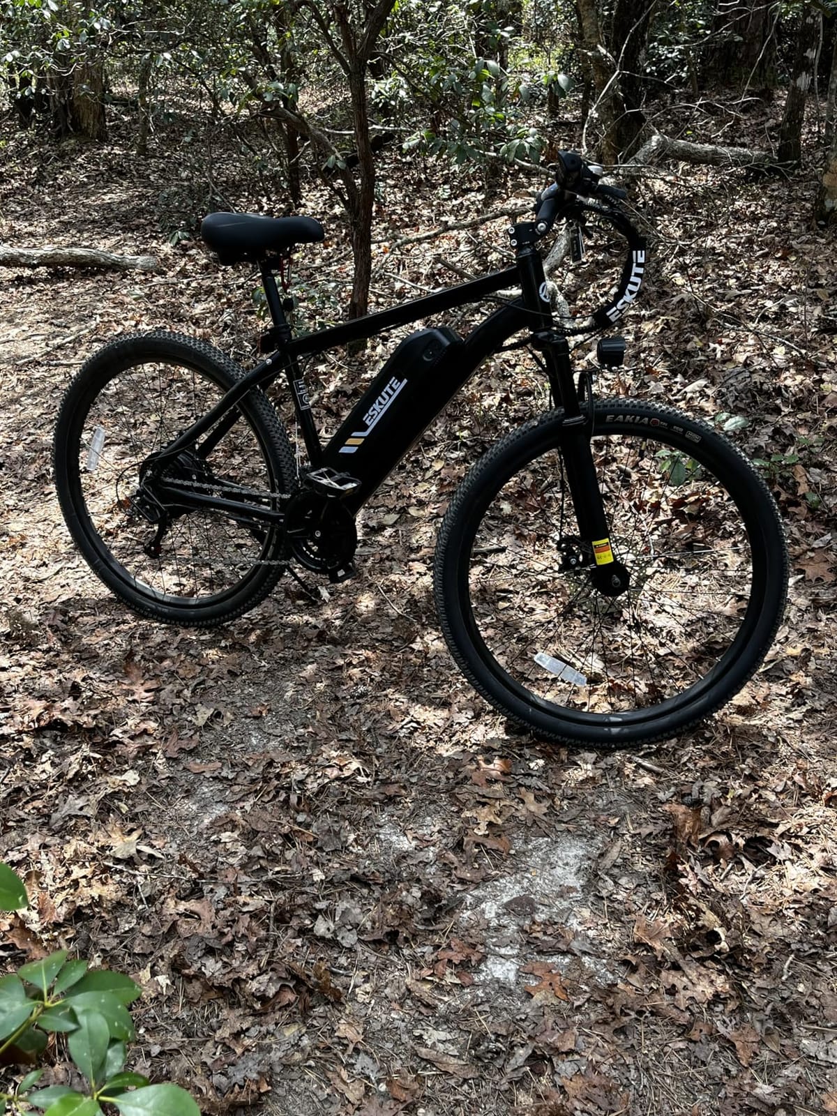 M200 Electric Bike for Adults - 21-Speed Gear 27.5
