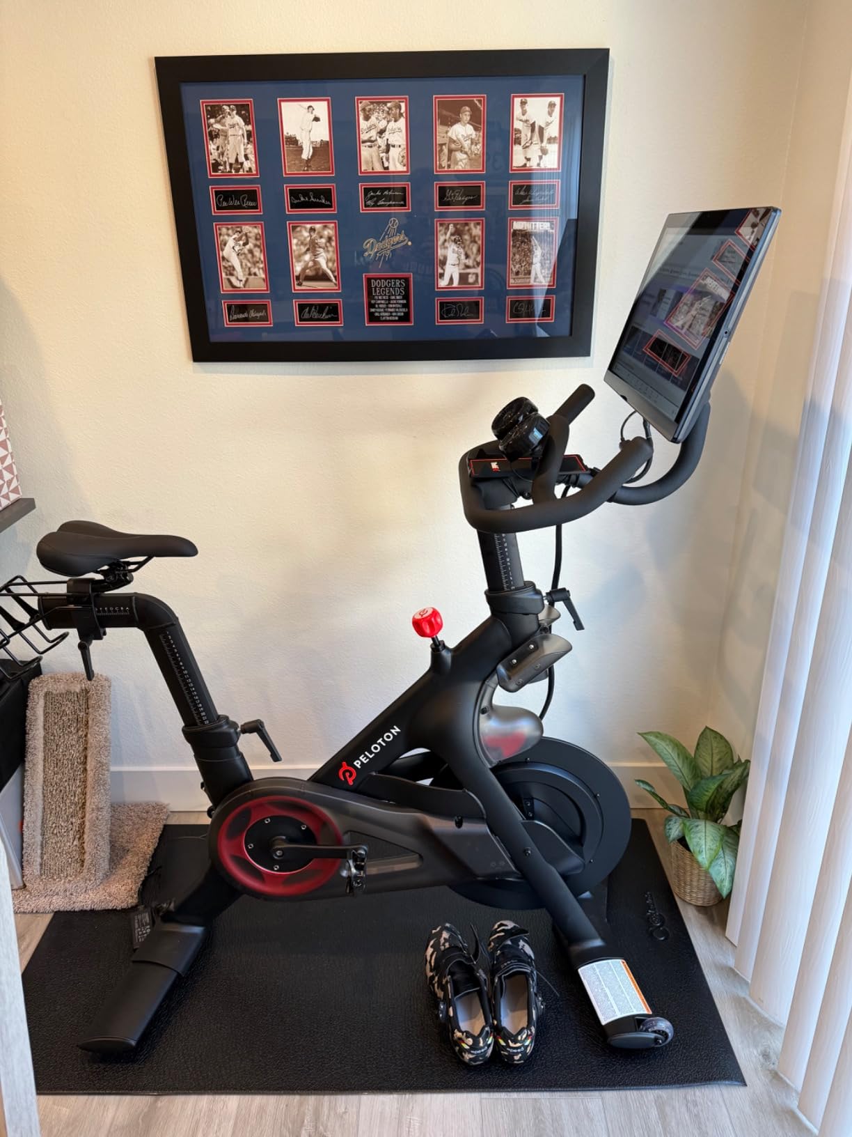 Peloton Exercise Bikes, Indoor Stationary Cross Training Bikes for Home | HD Swivel Screen, Space-Friendly Exercise Equipment for Home Workouts customer photo 1